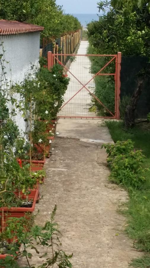Ifioridisicilia Bed & Breakfast Кампофеличе ди Рокела Екстериор снимка